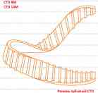 Ремень зубчатый CTD